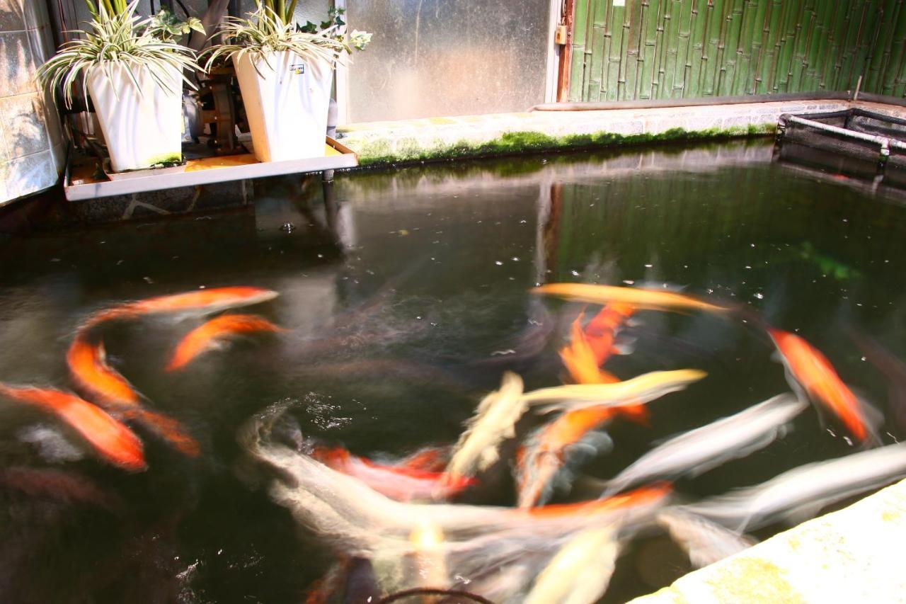 غوتو Okui Ryokan المظهر الخارجي الصورة